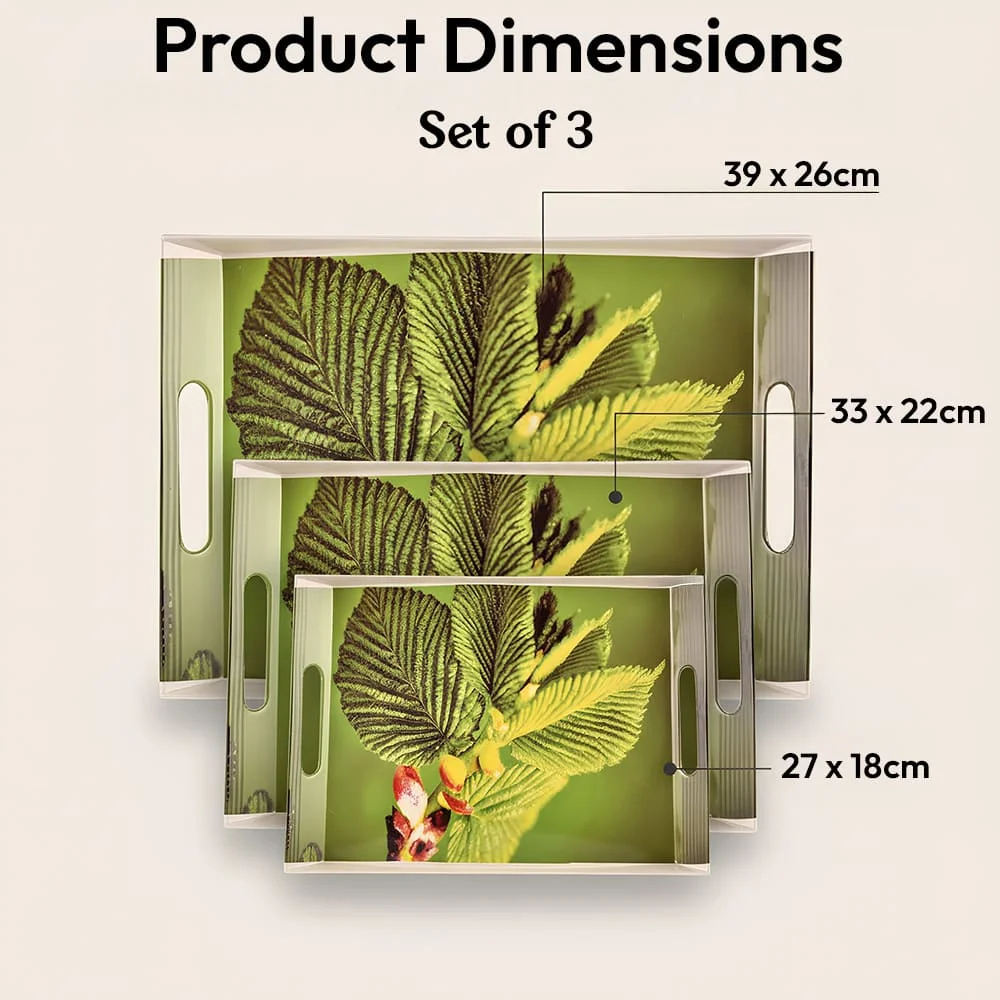green leaves tray set upc