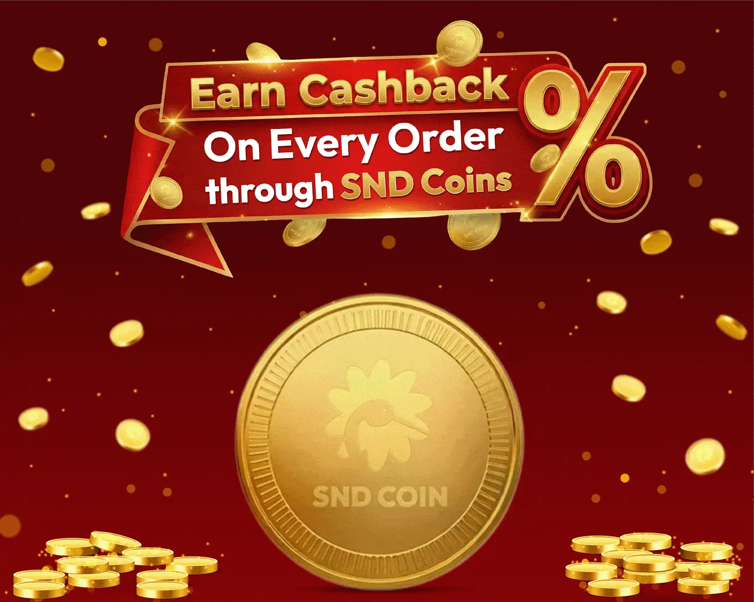 snd coins and rewards