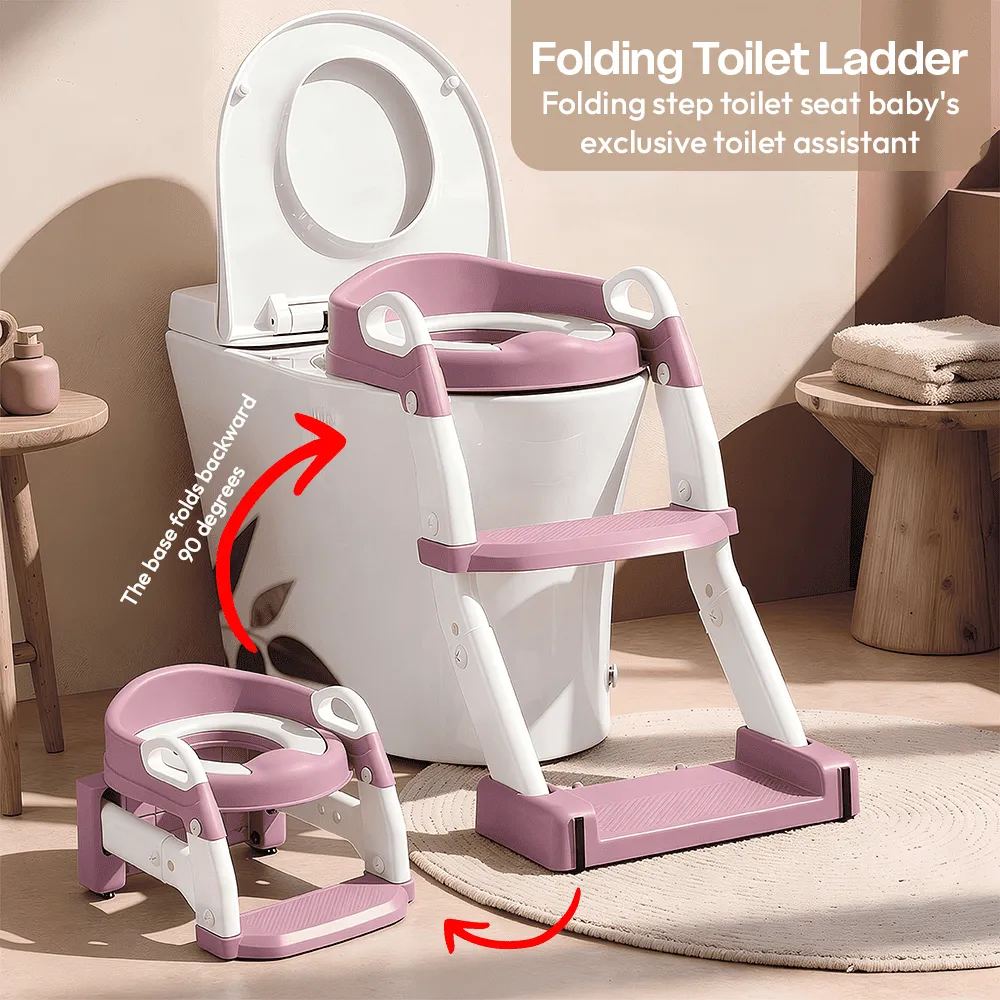 Potty seat ladder
